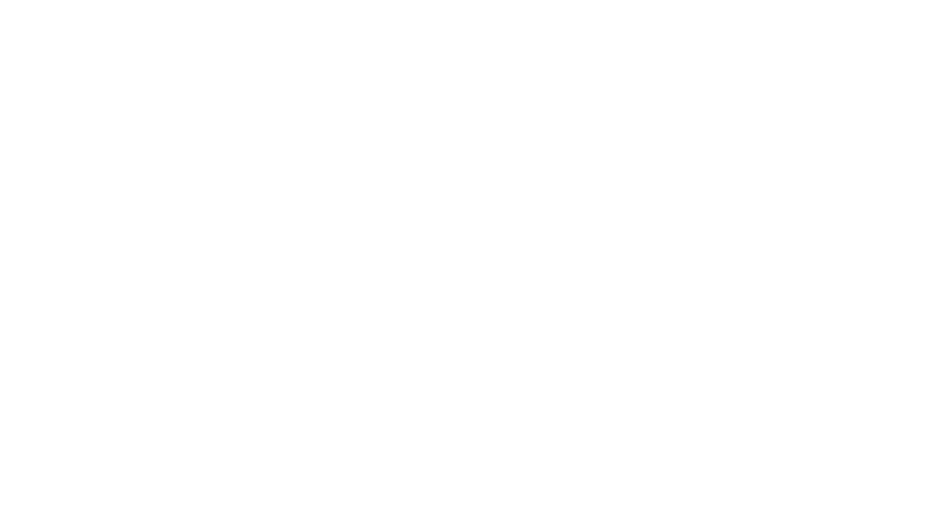 Human Rights International